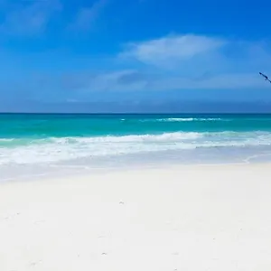 Calypso 3-807 Holiday home Panama City Beach